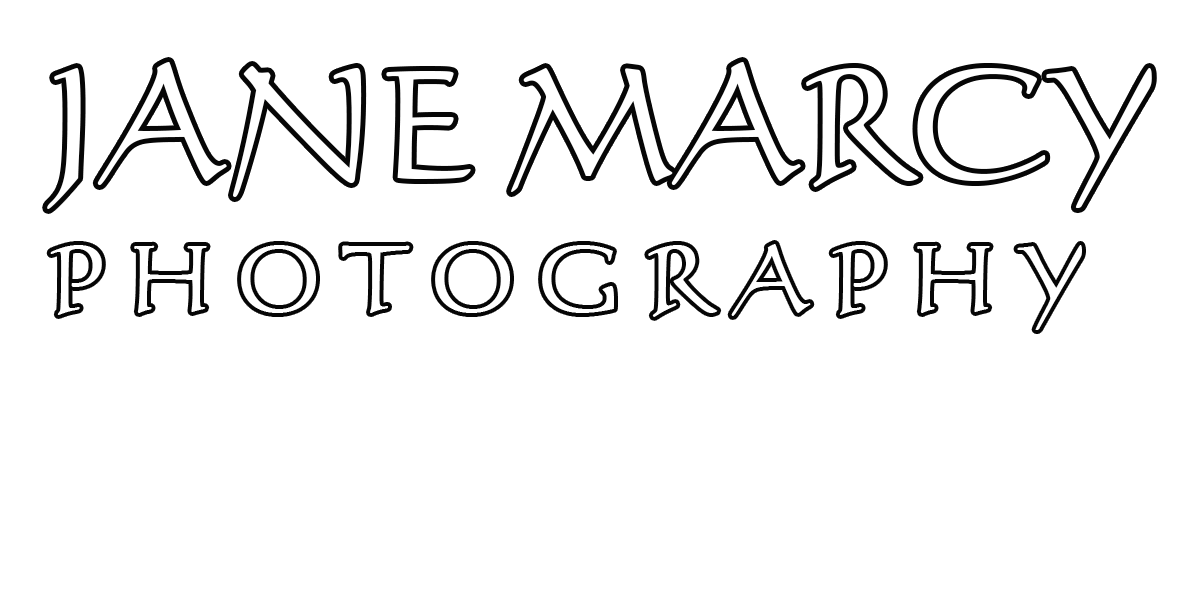 Photography Websites, Botanical Photography Websites, Landscape Photography Websites, Portrait Photography Websites, Fine Art Photography Websites